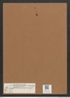Campylodiscus panduriger A. Schm. (de-Toni-Nr.: Genus 57, Species 2428) Zeichnungen Sammlung Grunow Mappe 02612 (Herbarium_W_Grunow_drawings_Folder_02612)